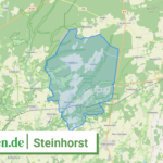 031515403029 Steinhorst