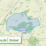 032515405011 Dickel