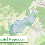 032555401030 Negenborn