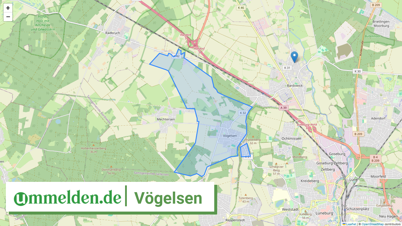 033555402039 Voegelsen