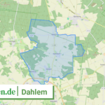 033555403012 Dahlem