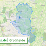 034520007007 Grossheide