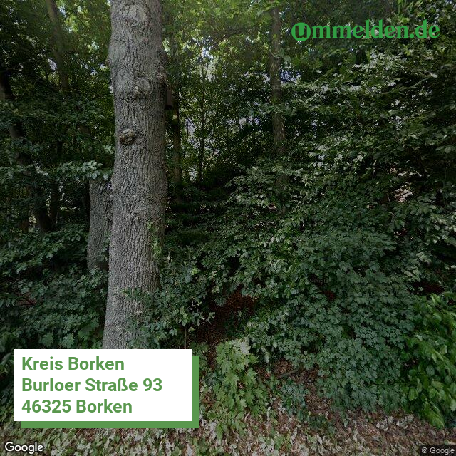 05554 streetview amt Borken