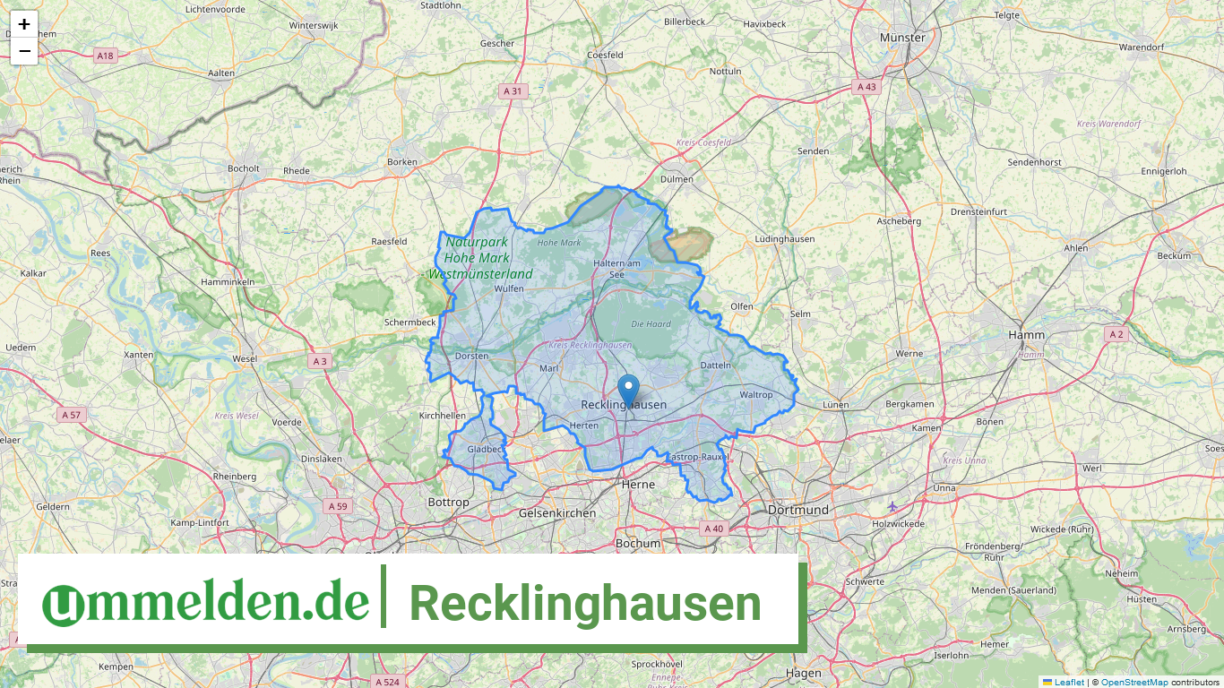 05562 Recklinghausen