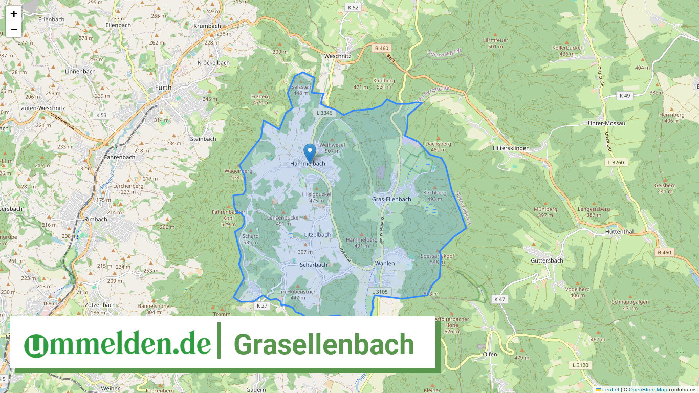 064310009009 Grasellenbach