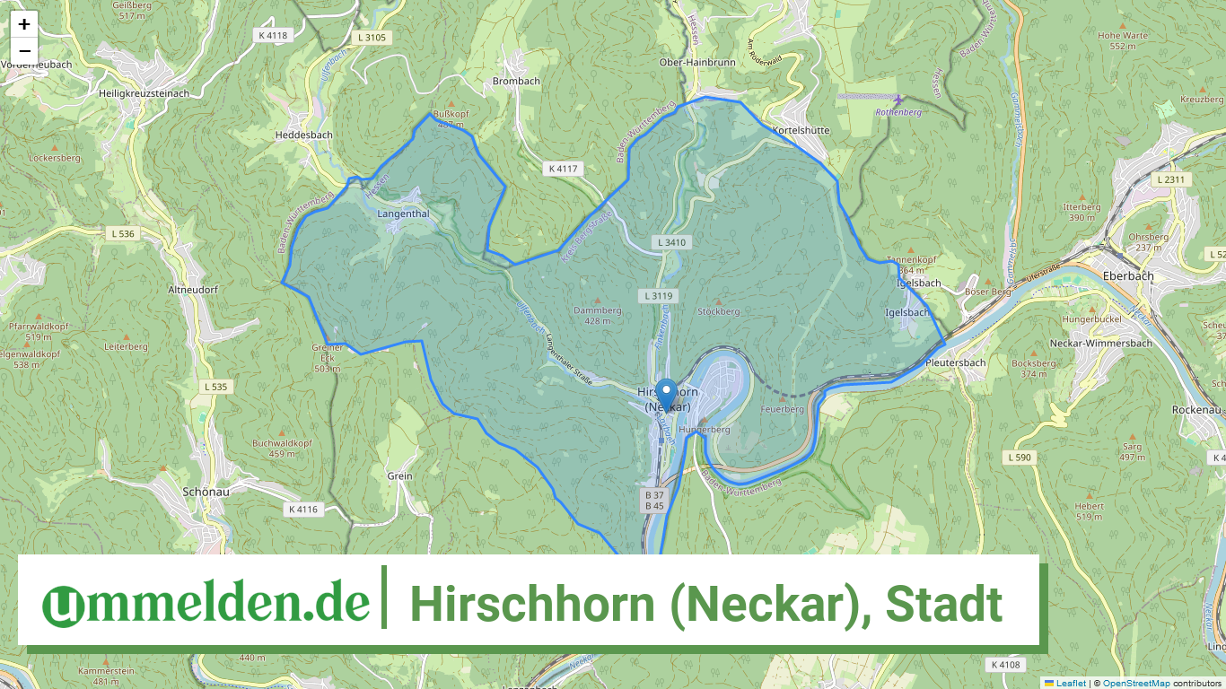 064310012012 Hirschhorn Neckar Stadt