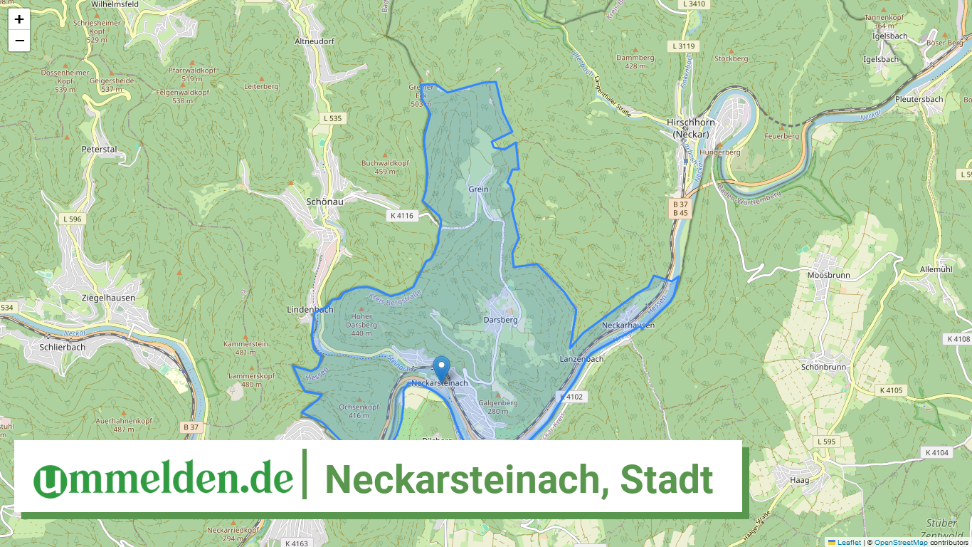 064310018018 Neckarsteinach Stadt