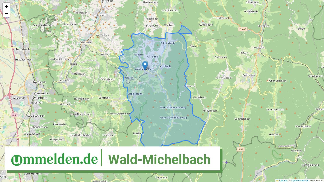 064310021021 Wald Michelbach