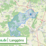 065310009009 Langgoens