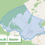 071315001009 Bauler