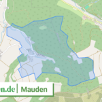 071325003068 Mauden