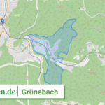 071325009042 Gruenebach