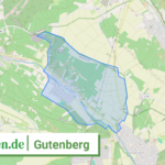 071335006036 Gutenberg