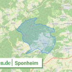 071335006101 Sponheim