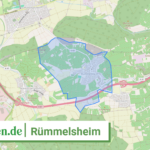 071335011087 Ruemmelsheim