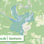 071355001079 Senheim