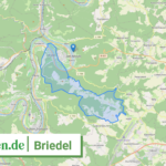 071355005013 Briedel