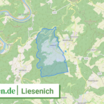 071355005054 Liesenich