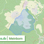 071385009042 Meinborn