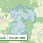 071405003018 Braunshorn