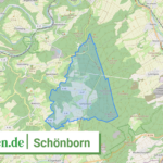 071415011126 Schoenborn