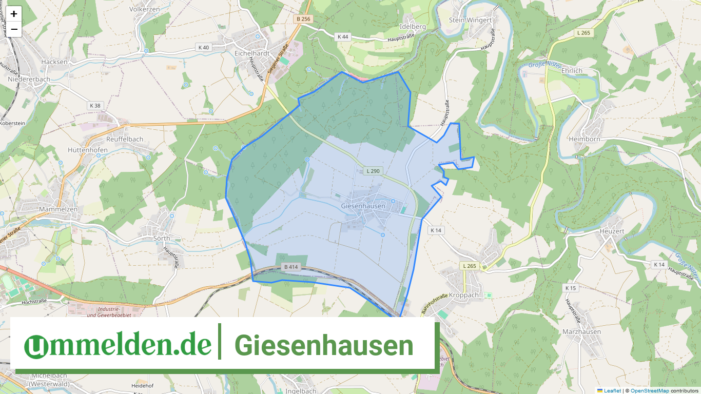 071435002225 Giesenhausen