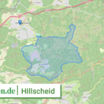 071435003031 Hillscheid