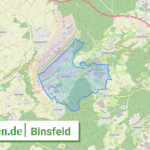 072315008010 Binsfeld