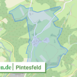 072325001291 Pintesfeld