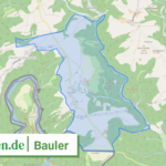 072325005008 Bauler