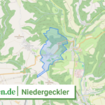 072325005089 Niedergeckler