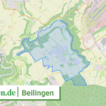 072325007010 Beilingen