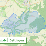 072325008013 Bettingen