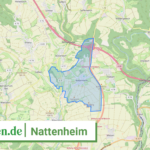 072325008086 Nattenheim