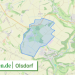 072325008100 Olsdorf