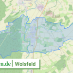 072325008137 Wolsfeld