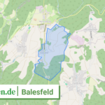 072325008203 Balesfeld