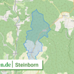 072325008313 Steinborn