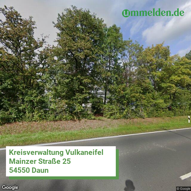 07233 streetview amt Vulkaneifel