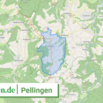 072355003106 Pellingen