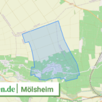 073315003046 Moelsheim