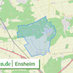 073315006019 Ensheim