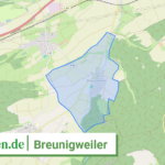 073335006011 Breunigweiler