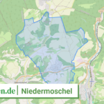 073335007051 Niedermoschel