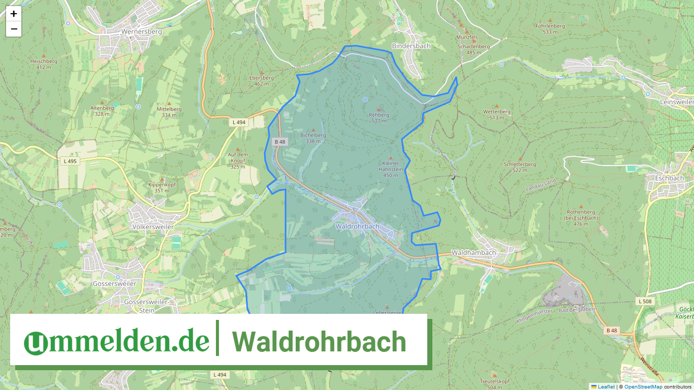 073375001081 Waldrohrbach