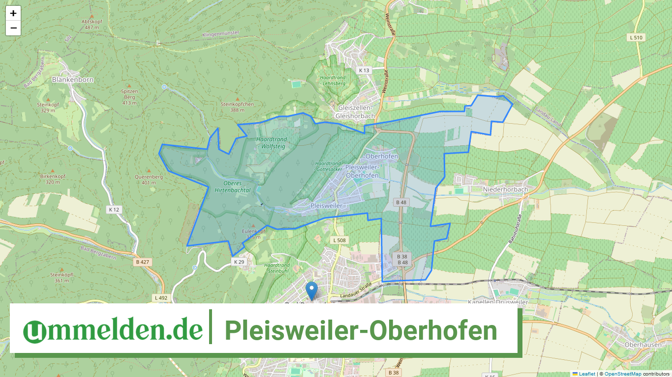 073375002062 Pleisweiler Oberhofen