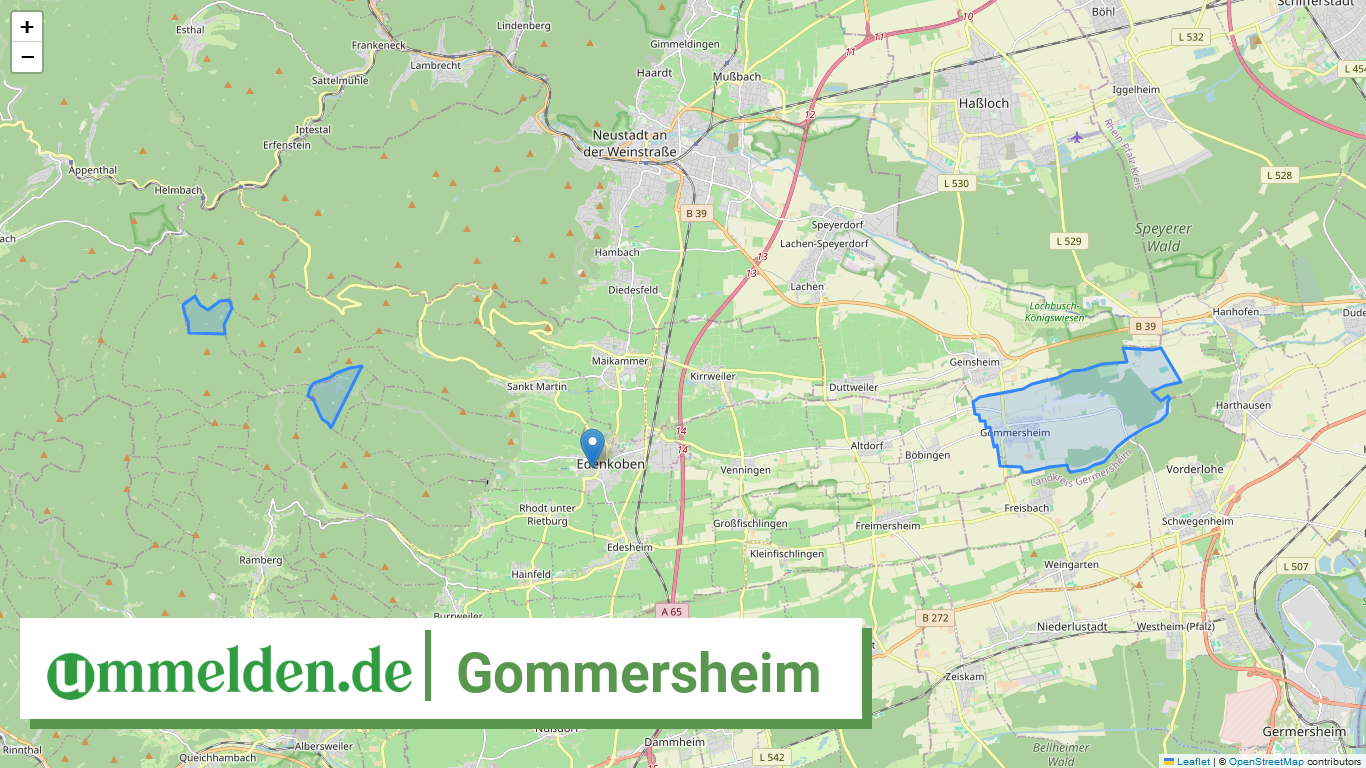 073375003032 Gommersheim