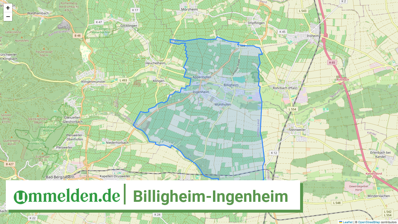 073375005007 Billigheim Ingenheim