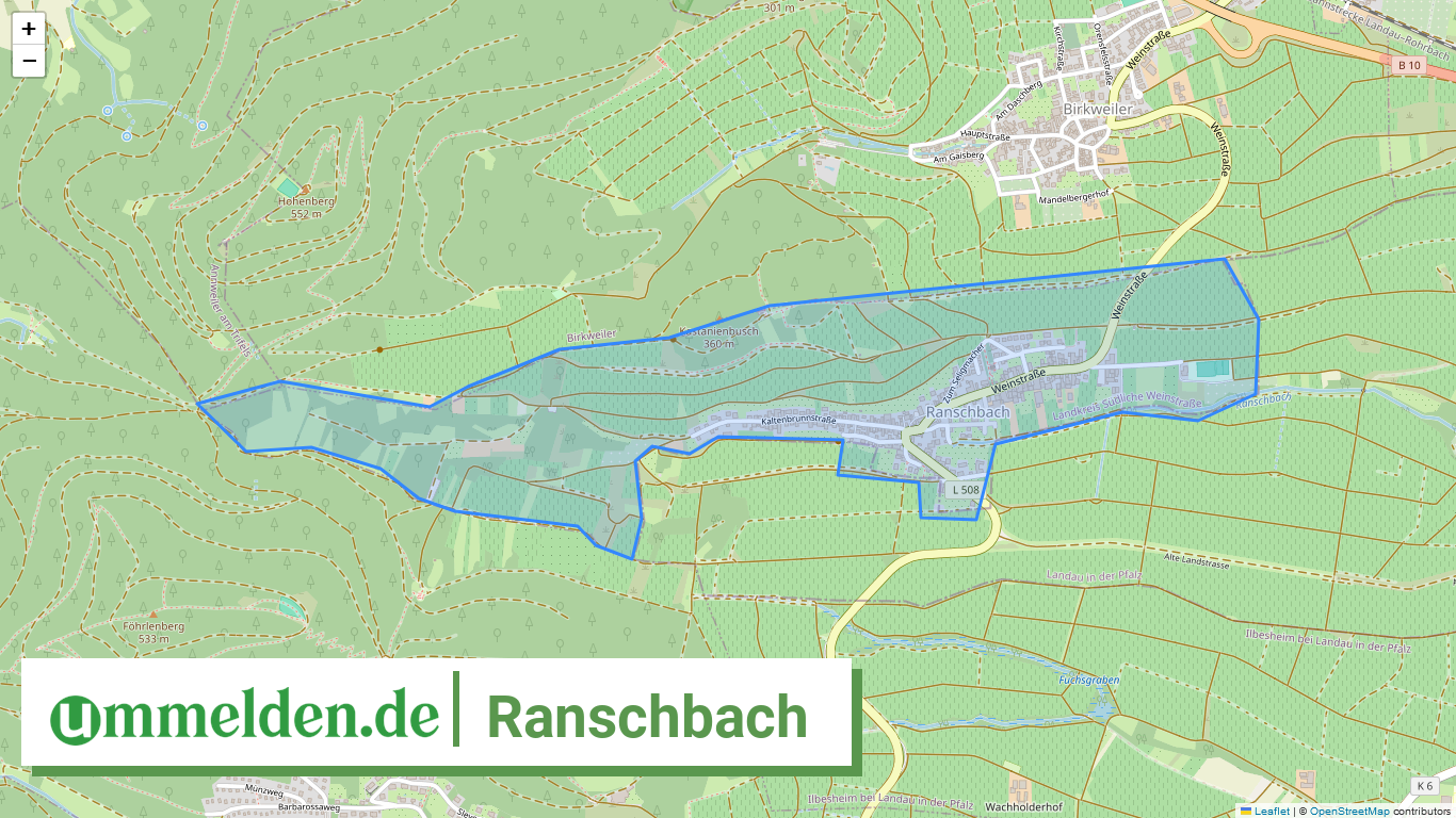 073375005065 Ranschbach