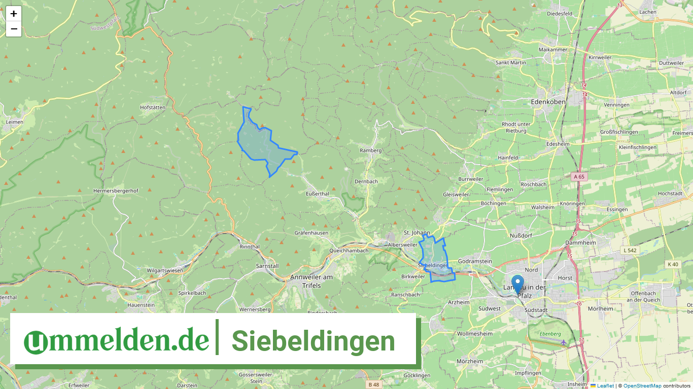 073375005073 Siebeldingen